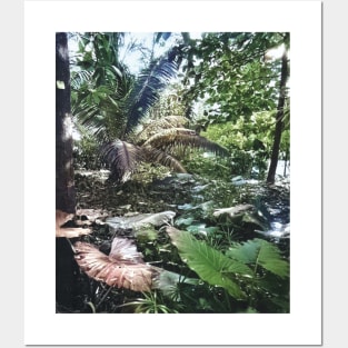 colorized vintage photo of tropical plants Posters and Art